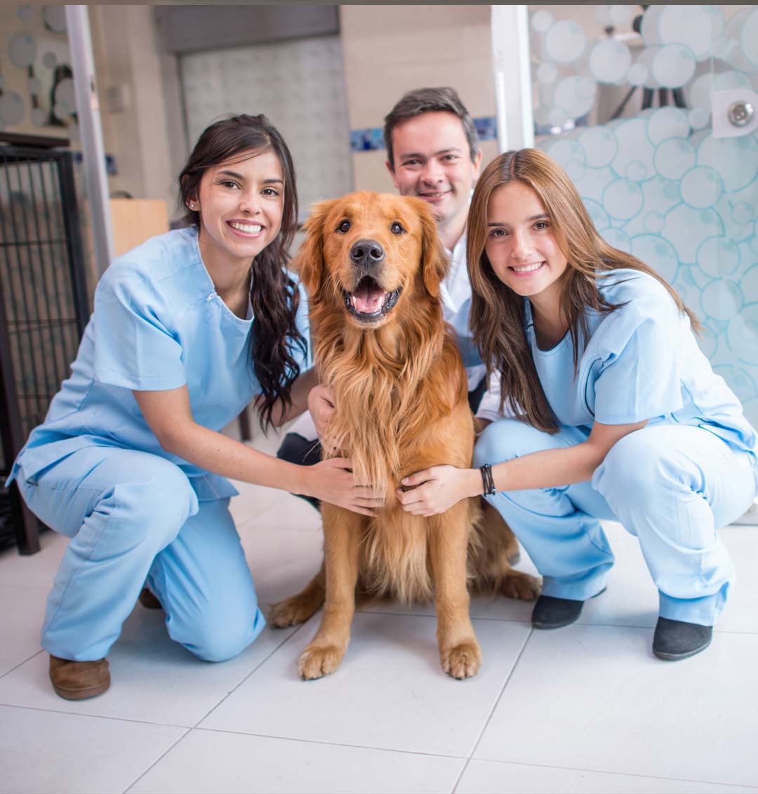 About Animal Family Veterinary Care Center