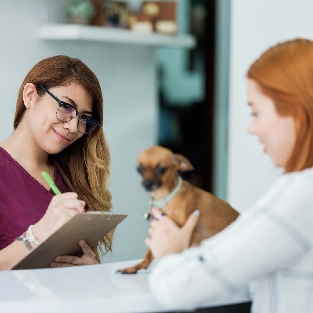Veterinarian Dog Client Forms